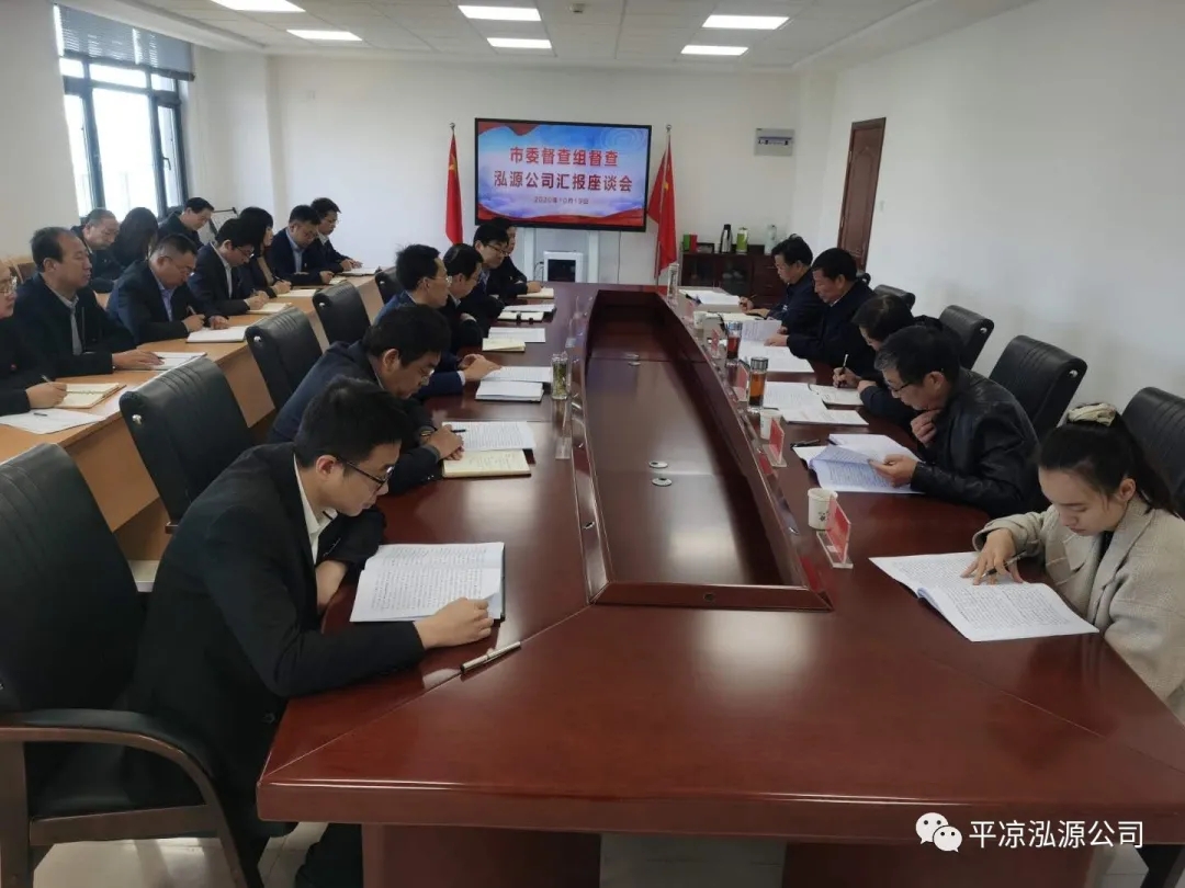 市委辦公室、市政府國資委督查泓源公司工作(圖4)